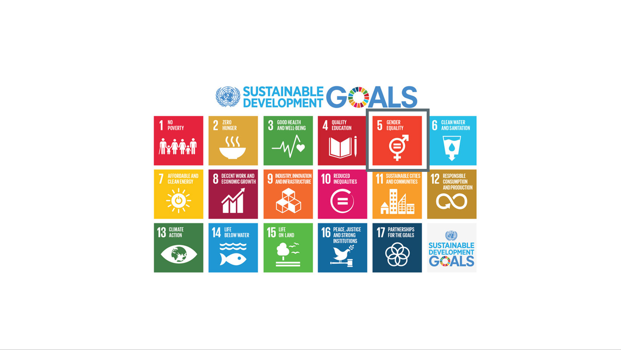 UN Sustainability Goals